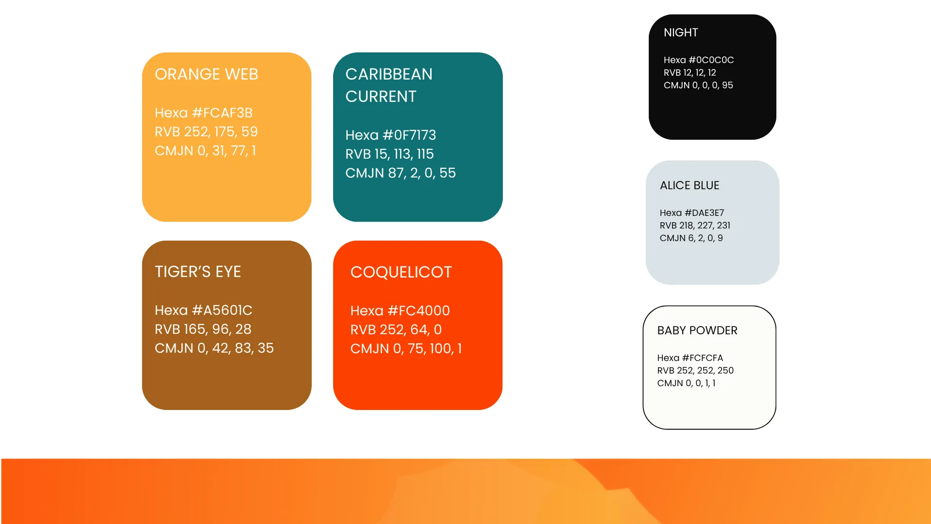 VisualID-NMO-coaching