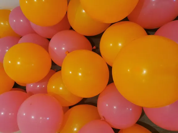 leart-portolio-pages